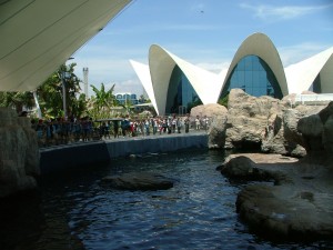 Venta entradas parques tematicos, excursión escolar oceanografic