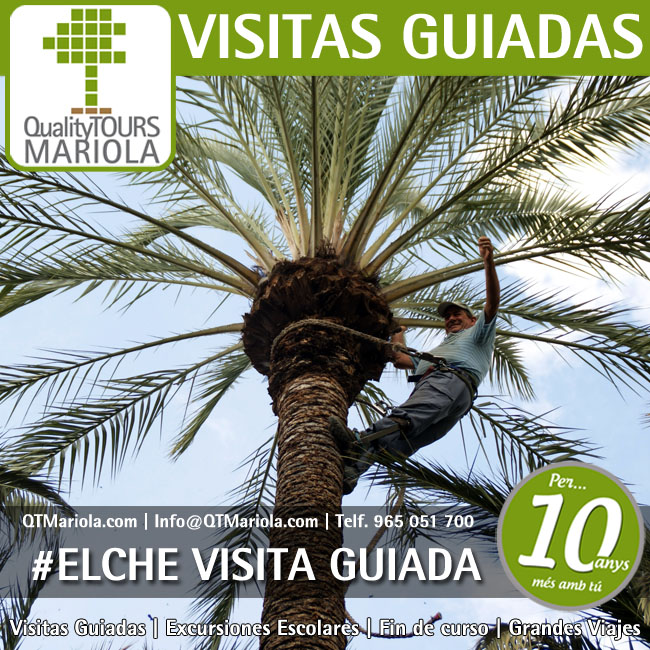 visita guiada elche, guided tours elche