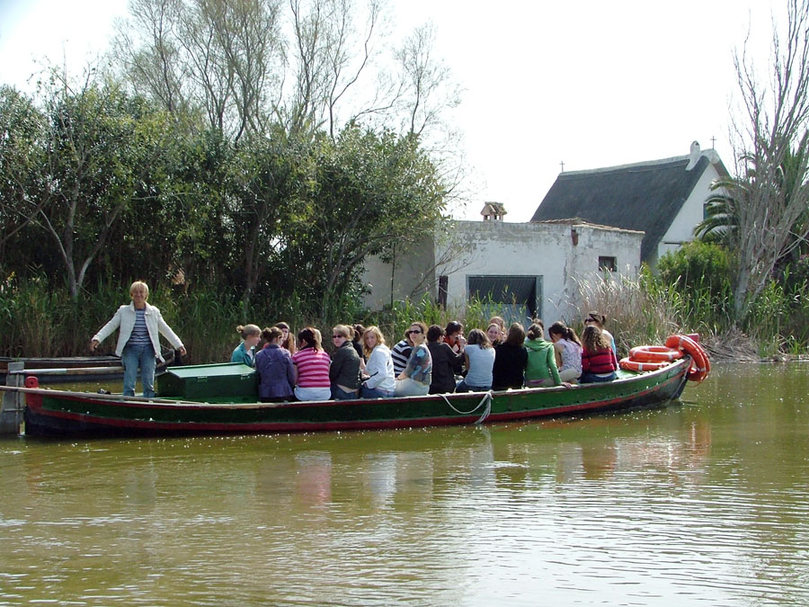 excursión albufera valencia