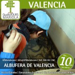excursión escolar albufera de valencia, excursión colegios albufera de valencia, excursión albufera de valencia, visita colegios Albufera Valencia