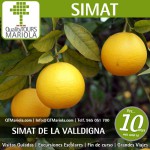 excursion escolar simat de la valldigna visita guiada guided tours