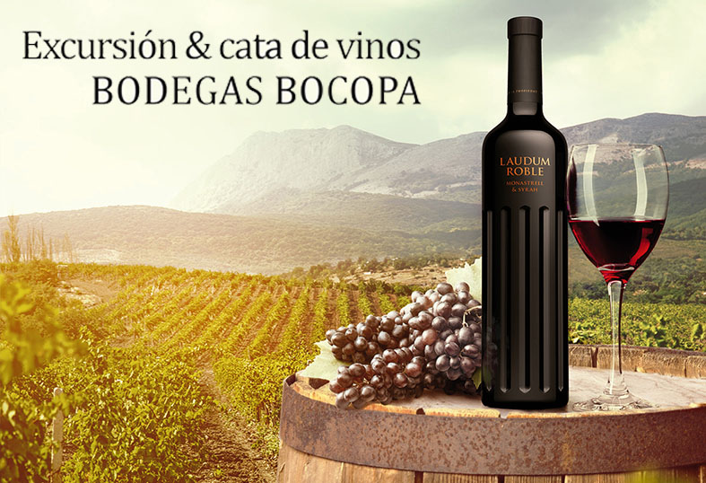 cata de vinos