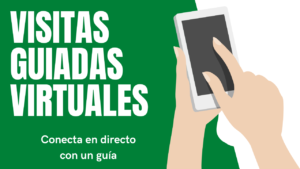 visitas guiadas virtuales por videoconferencia